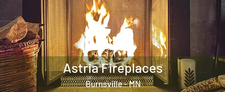  Astria Fireplaces Burnsville - MN