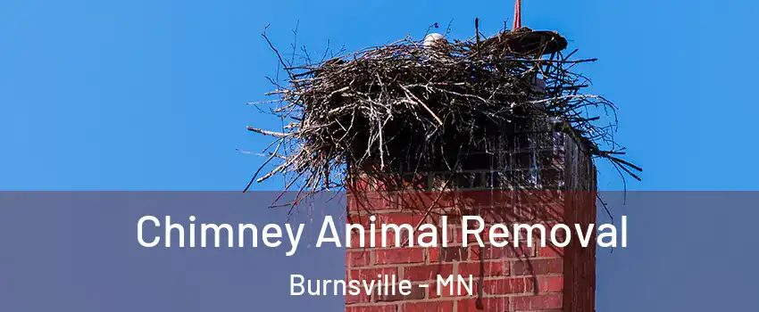 Chimney Animal Removal Burnsville - MN