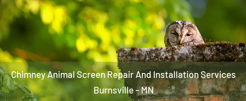  Chimney Animal Screen Repair And Installation Services Burnsville - MN