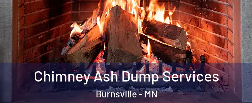  Chimney Ash Dump Services Burnsville - MN