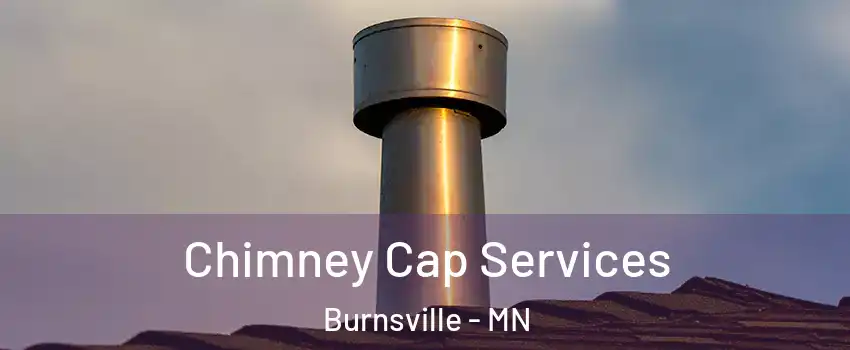  Chimney Cap Services Burnsville - MN