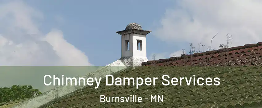  Chimney Damper Services Burnsville - MN