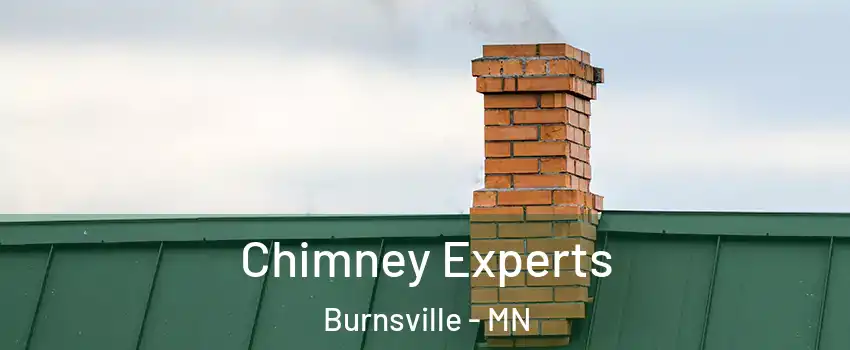 Chimney Experts Burnsville - MN