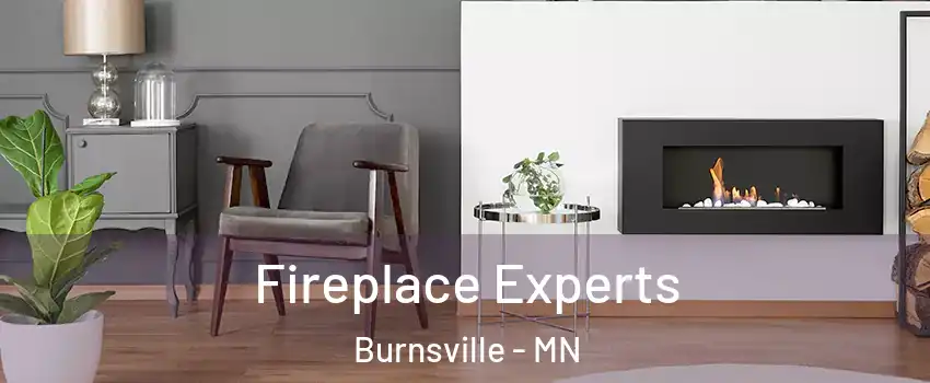  Fireplace Experts Burnsville - MN