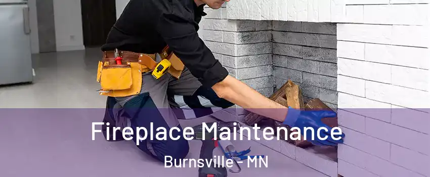  Fireplace Maintenance Burnsville - MN