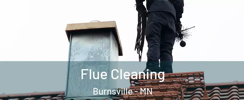  Flue Cleaning Burnsville - MN