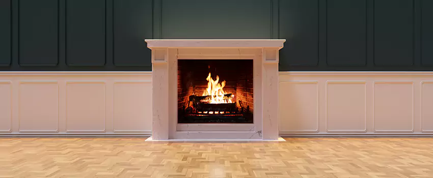 Napoleon Electric Fireplaces Inspection Service in Burnsville, Minnesota