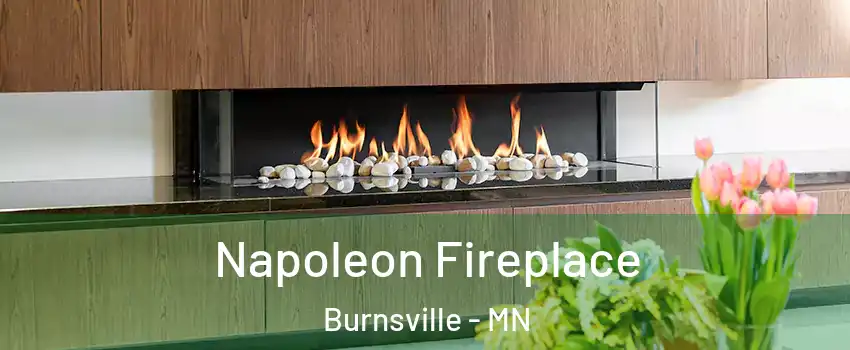  Napoleon Fireplace Burnsville - MN