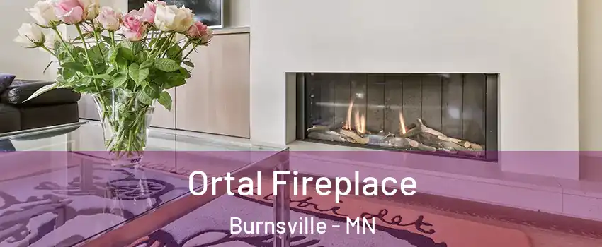 Ortal Fireplace Burnsville - MN